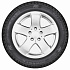 Шина Gislaved Soft Frost 200 205/50 R17 93T FR (2019 г.в.)
